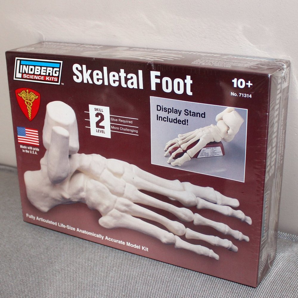 3/$77❤️new Lindberg Science Kits Skeletal Foot model kit 71314 vintage USA made